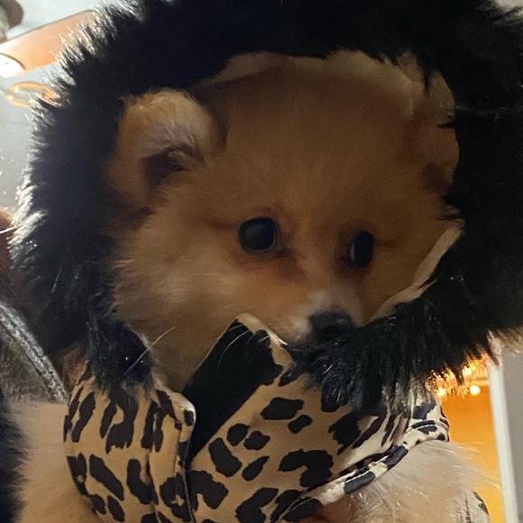 Meet your Posher, Ashley - Picture 2 of 2